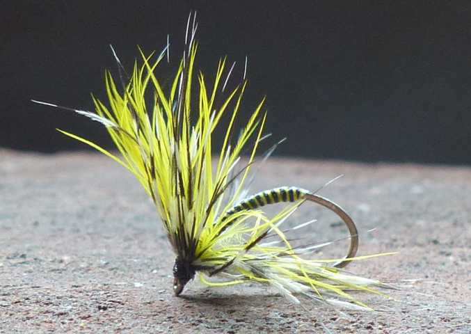 Wet Fly Variationen 0211.JPG