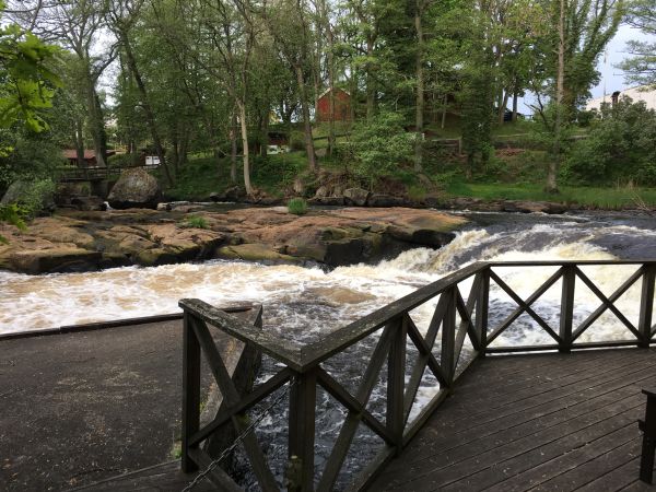 Kungforsen