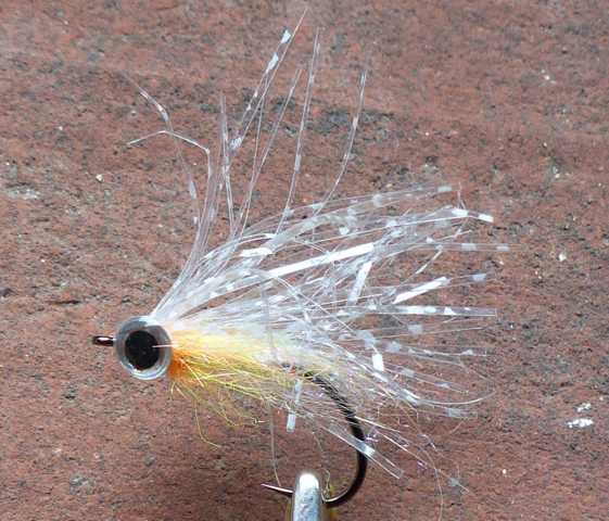 Streamer Variationen 0081.JPG