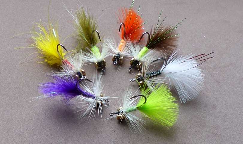 Streamer Variationen 0041.JPG