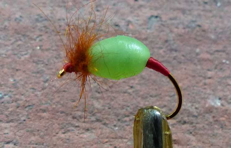 Nymphen Variationen 0041.JPG