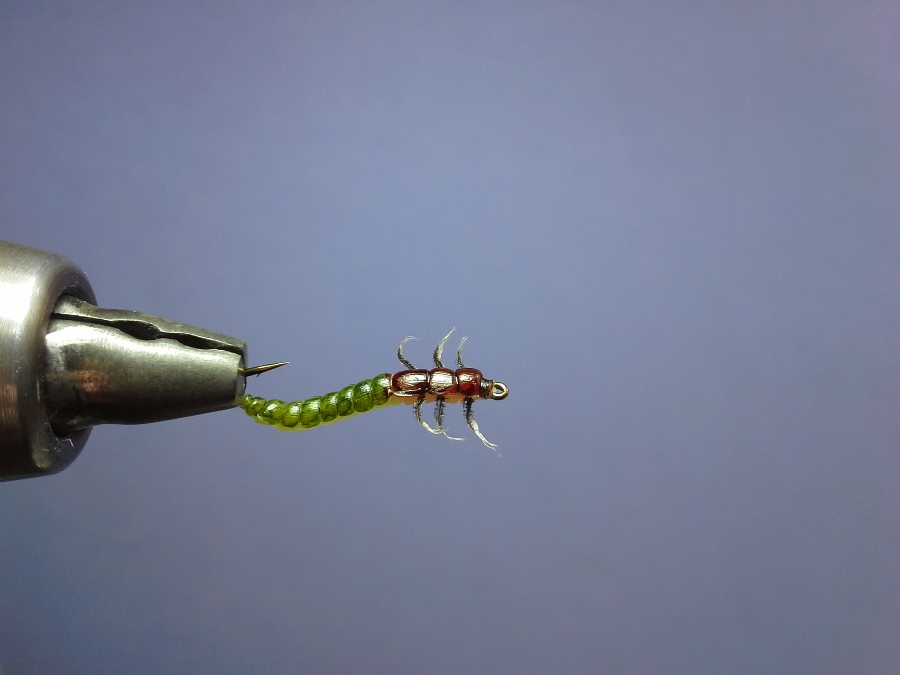 auch Swimming Larva (nur anners rum) #14
