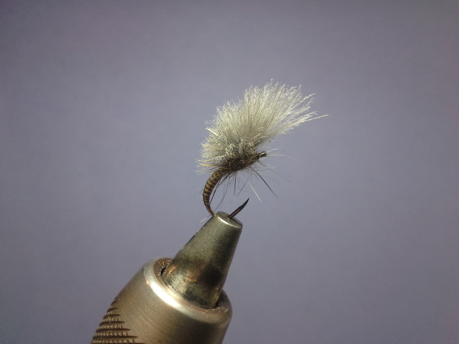 Quill/Mink/CDC #14