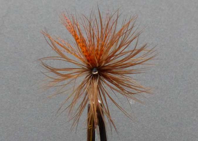 Devaux Wet Variationen 0011.JPG
