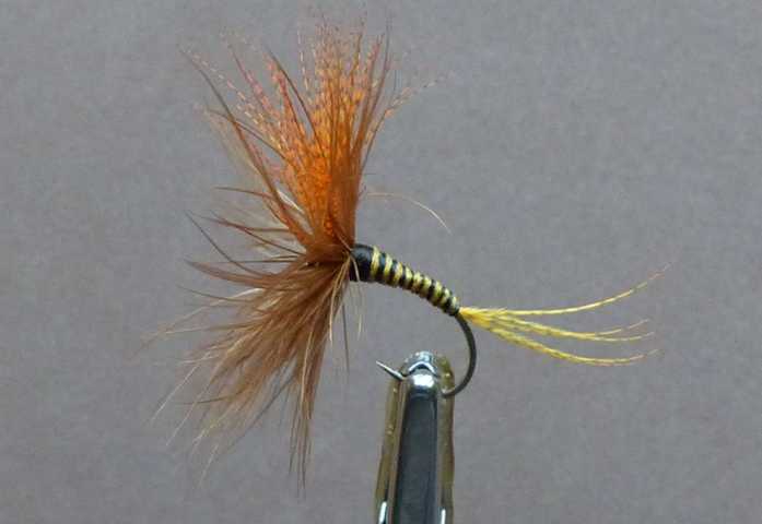 Devaux Wet Variationen 0012.JPG