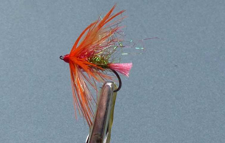 Wet Fly Variationen 0221.JPG