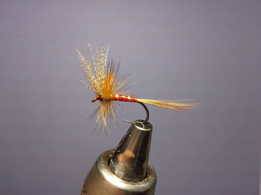 Catskill #14