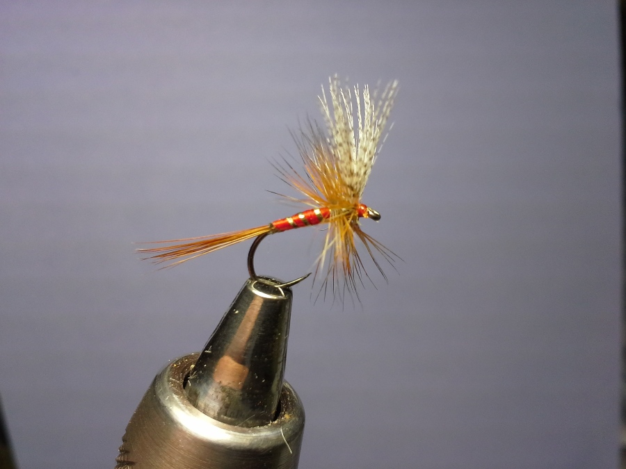 Catskill #14