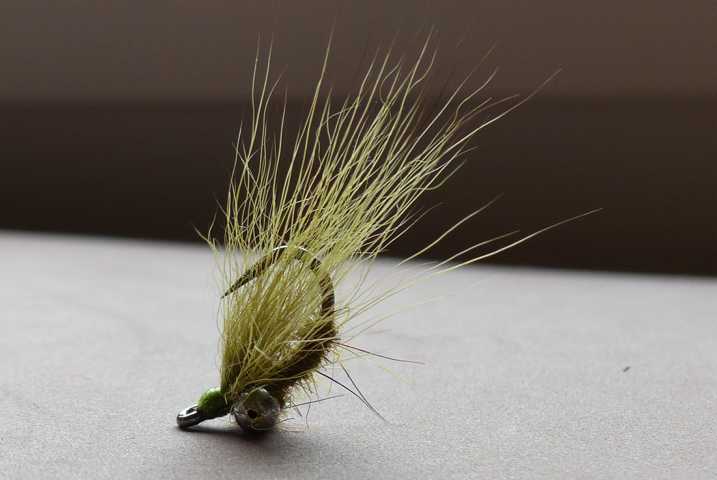 Karpfenfliegen Variationen 0111.JPG