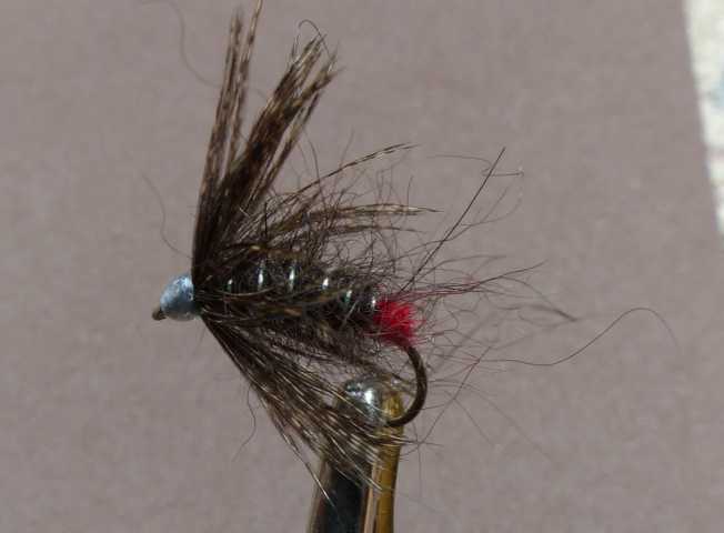 Wet Fly Variationen 0271.JPG