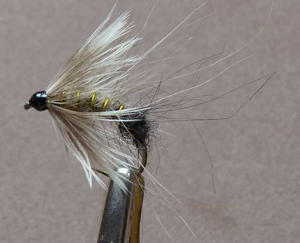 Wet Fly Variationen 0281.JPG