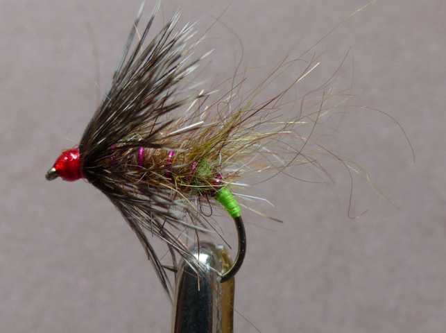 Wet Fly Variationen 291.JPG