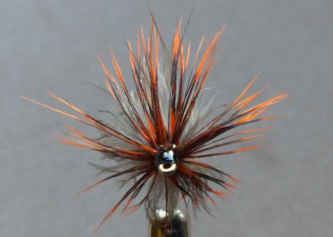 Wet Fly Variationen 0311.JPG