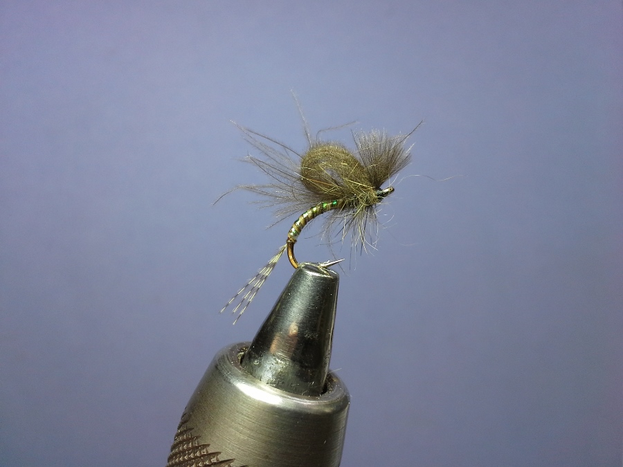 CDC Loop Wing #14