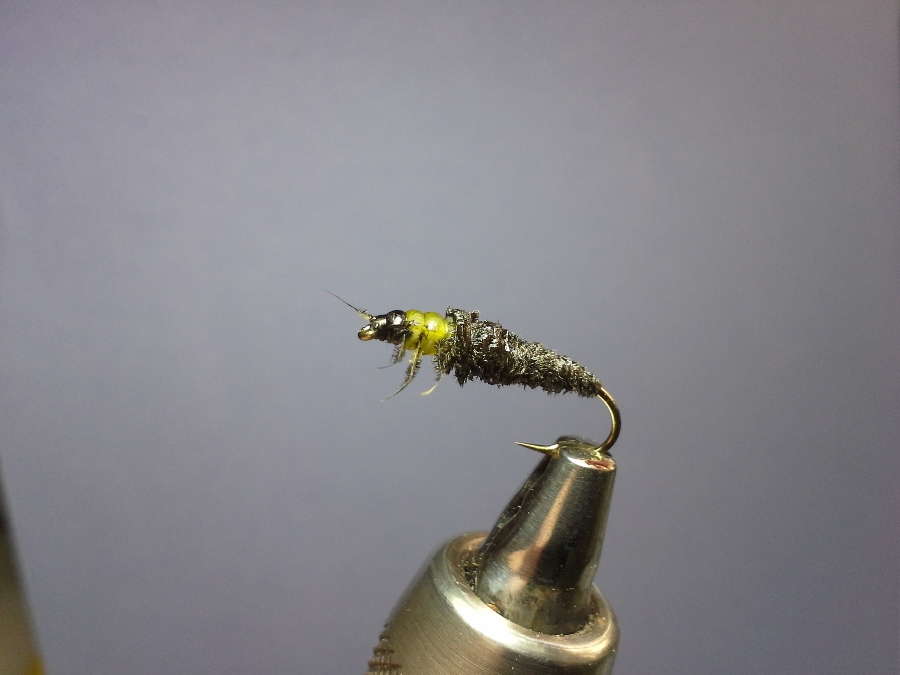 Cased Caddis (Mindel Buster) #12