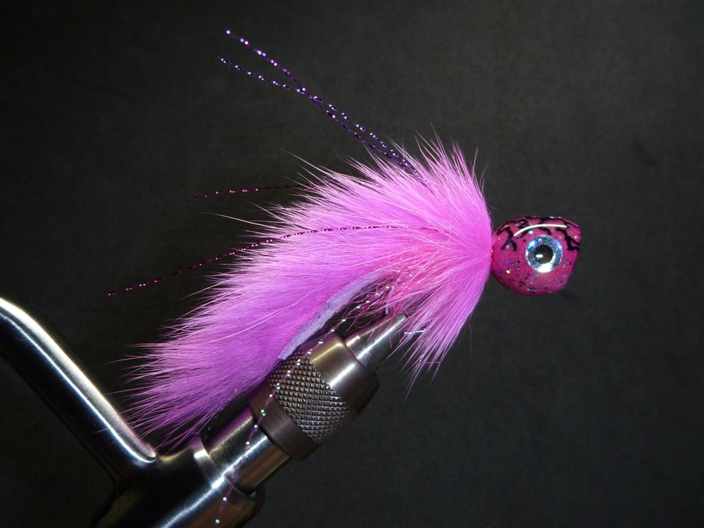 P1030996 (Mittel).JPG