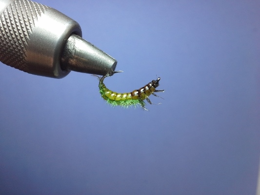upside Down Variante mit Gills...und Make up auf dem gleichen Haken