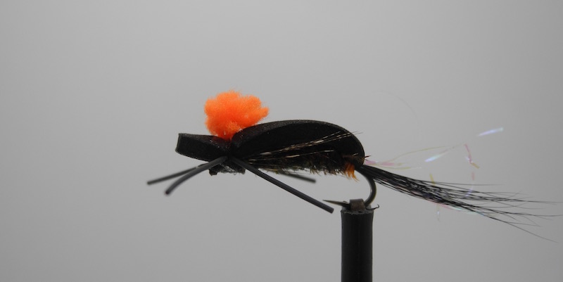 Skatebeetle_schw.jpg