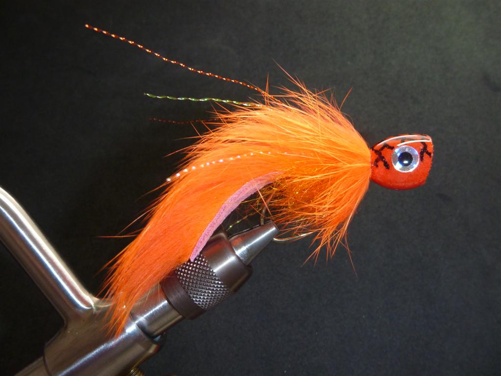 P1040053 (Mittel).JPG