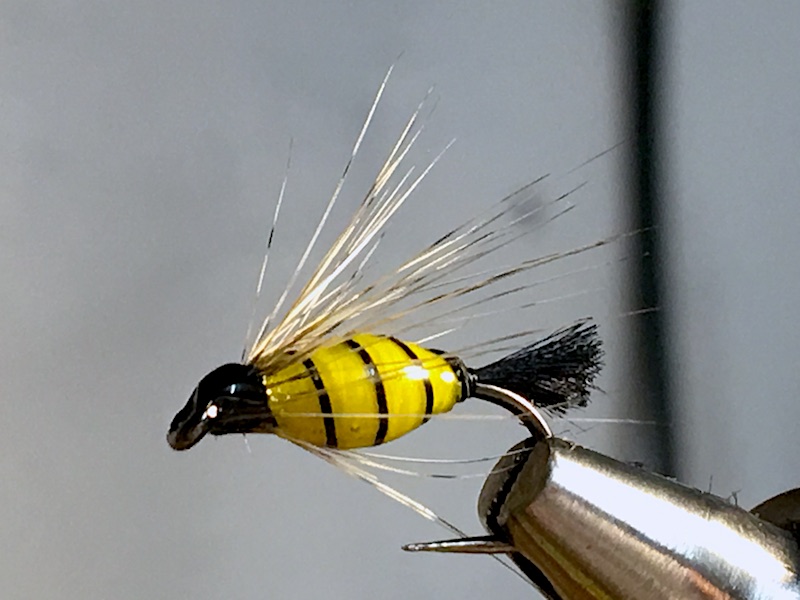 IMG_1804.JPG