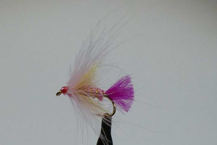 Barbie Fly 0171.JPG