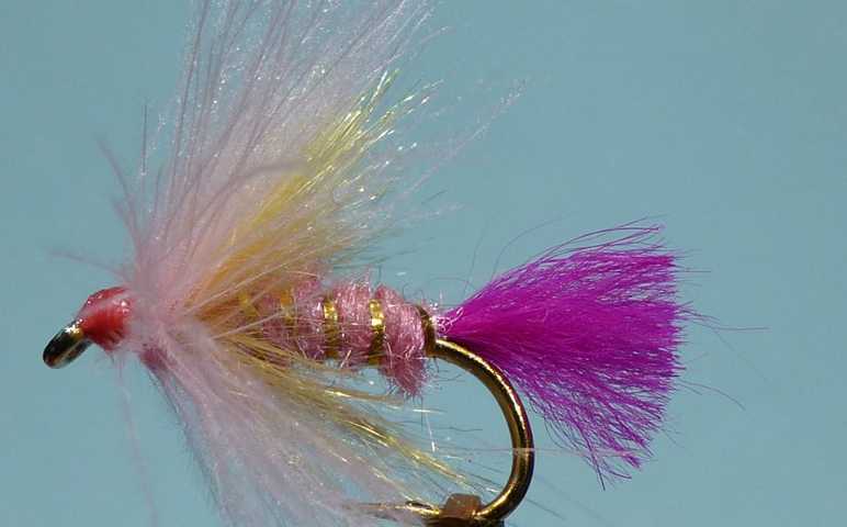 Barbie Fly 0311.JPG