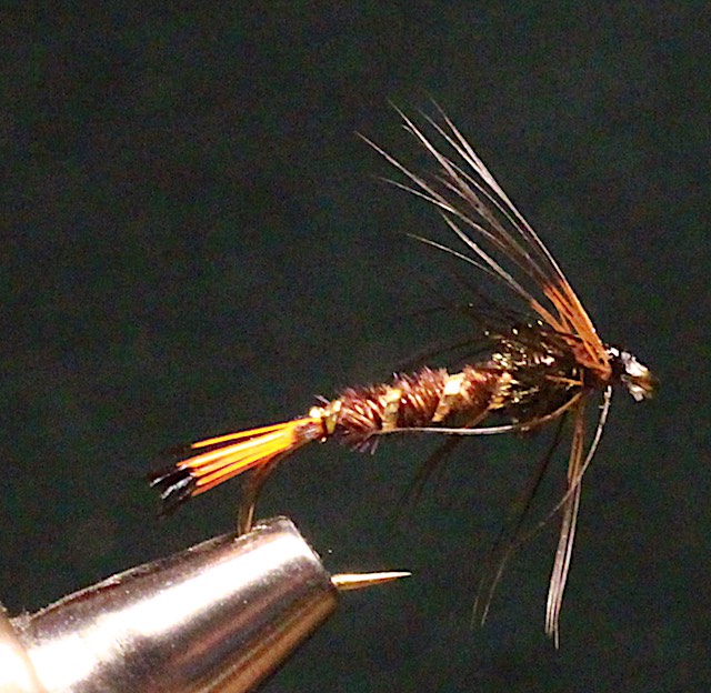 ardleigh nymph.jpg