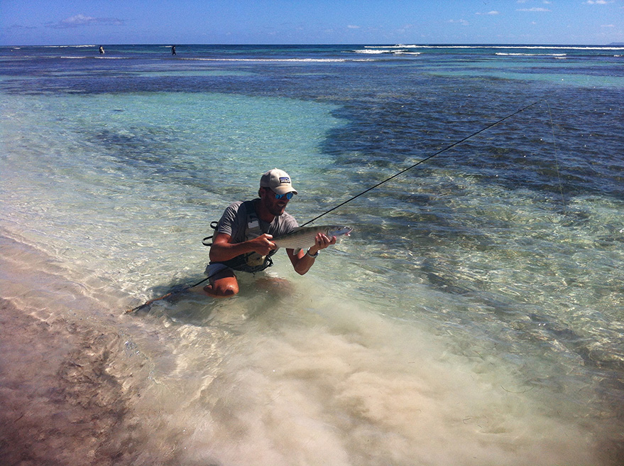 einer von 3 Bones am 3. Januar