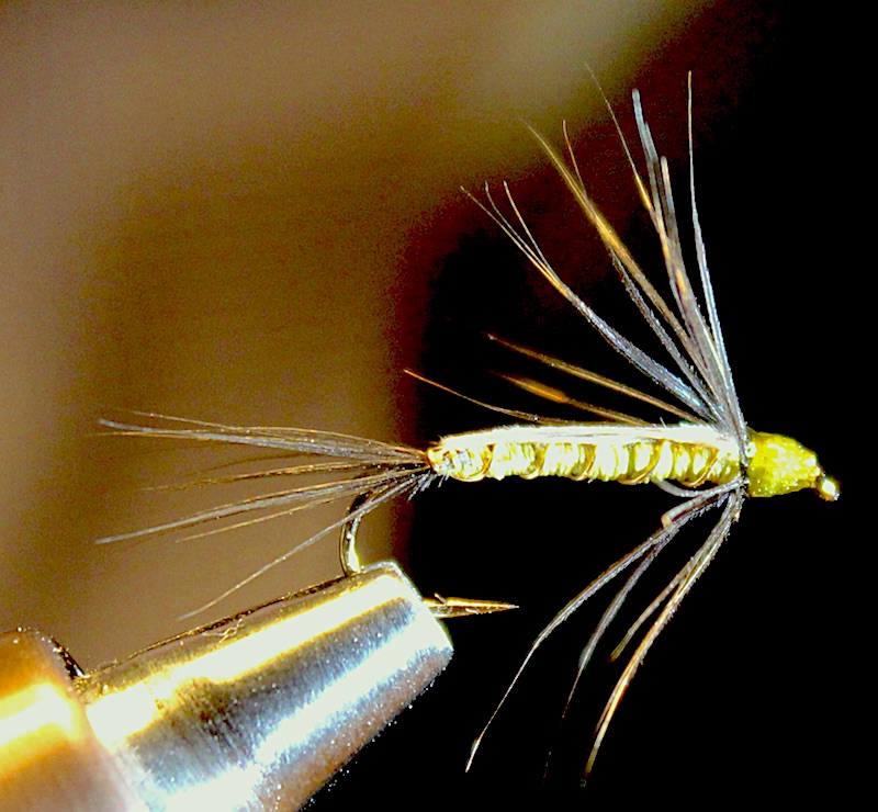 Greenwell Nymph.jpg