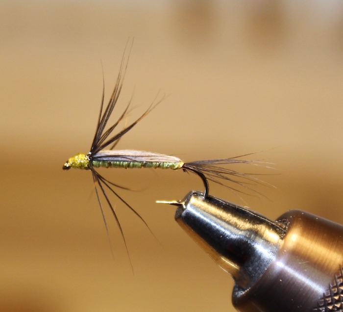 Greenwell Nymph II.jpg