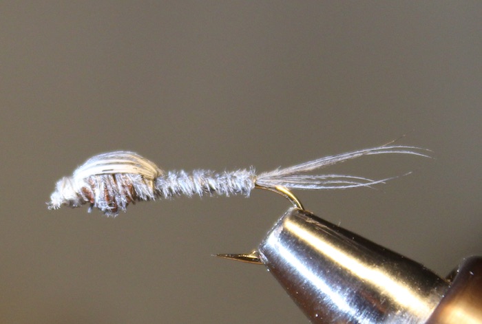 Grey Goose Nymph.jpg