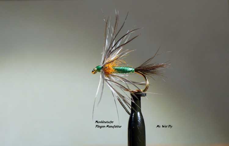 Wet Fly Variationen 0451.JPG