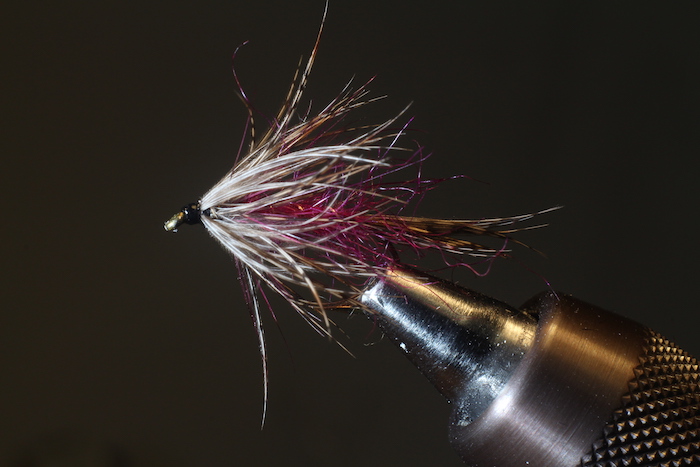 WelshPartridge.JPG