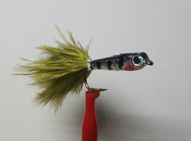 Brutfisch Hakengröße 8