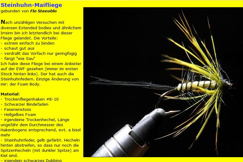 mayfly.JPG