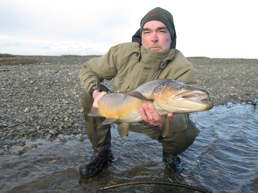 Seatrout 13 Pfund Tierra Del Fuego