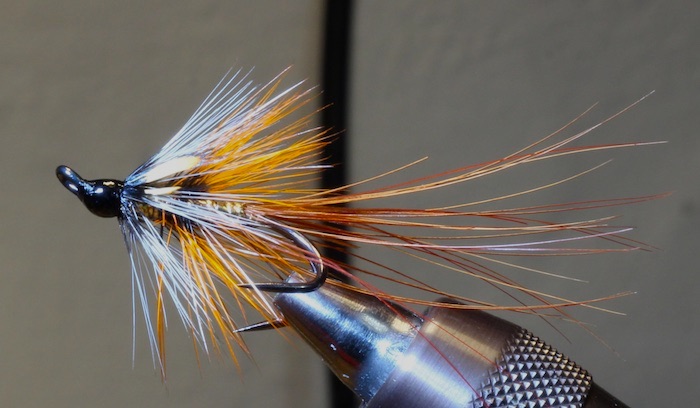 Orange and Gold Shrimp.jpg