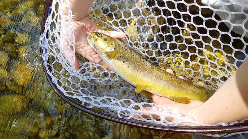 20170528_111913.jpg
