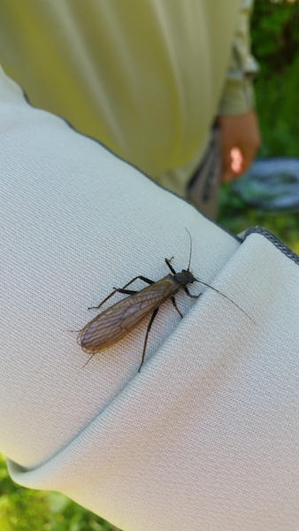 20170527_090055.jpg