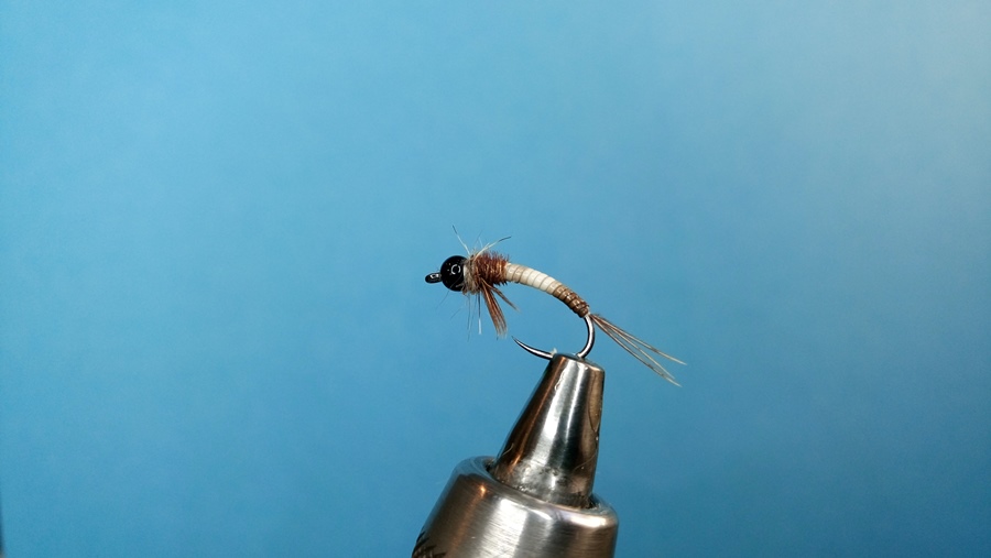 BH Javelina Ninfa with PT flavor