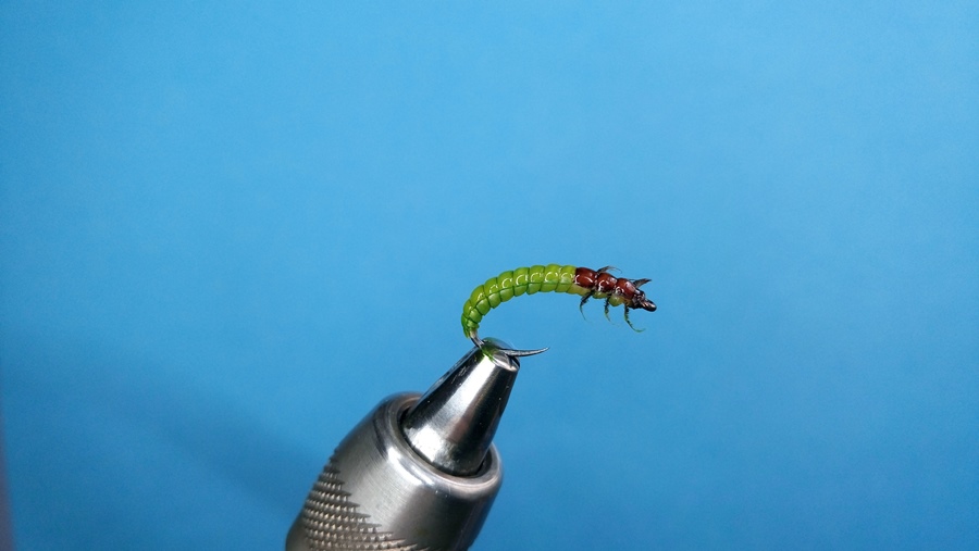 Caddis Larva Hends 554