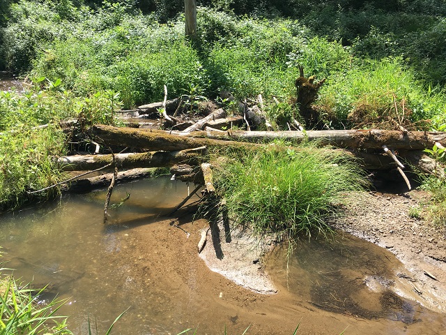 Mittelgebirgsbach mit mäanderndem Charakter.JPG