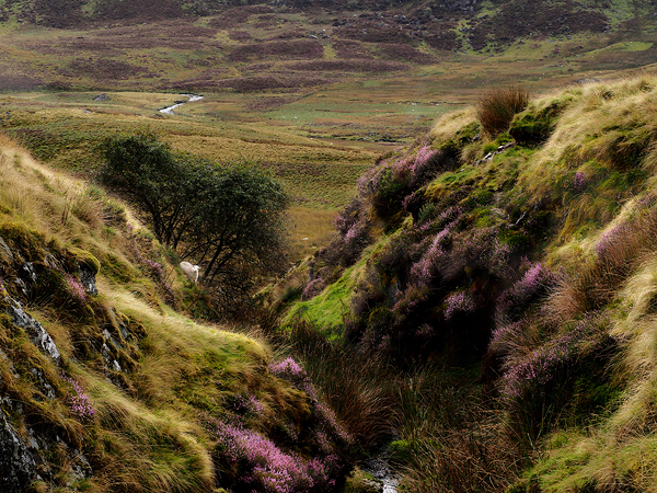 Snowdonia