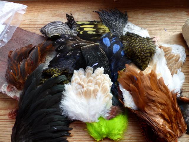 WHITING FEATHERS 001.JPG