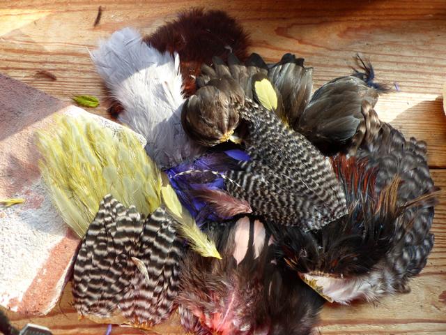 WHITING FEATHERS 004.JPG