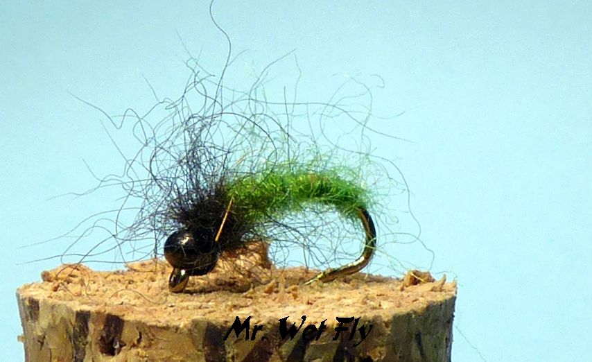 Favoriten für Döbel 0271.JPG