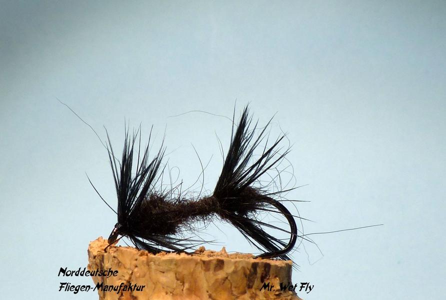 Favoriten für Döbel 0331.JPG