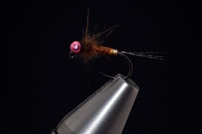 jig_nymph1.jpg