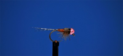 jig_nymph3.jpg