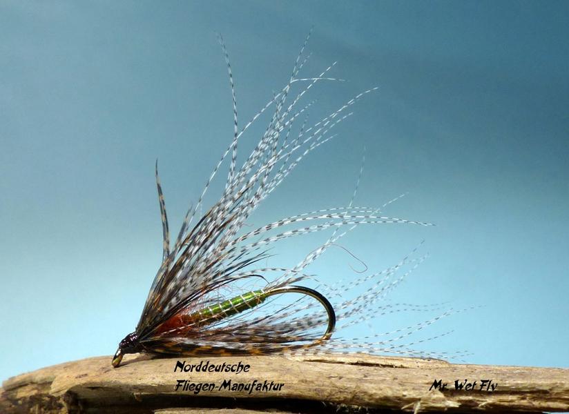 Forellenstreamer Variationen 0461.JPG
